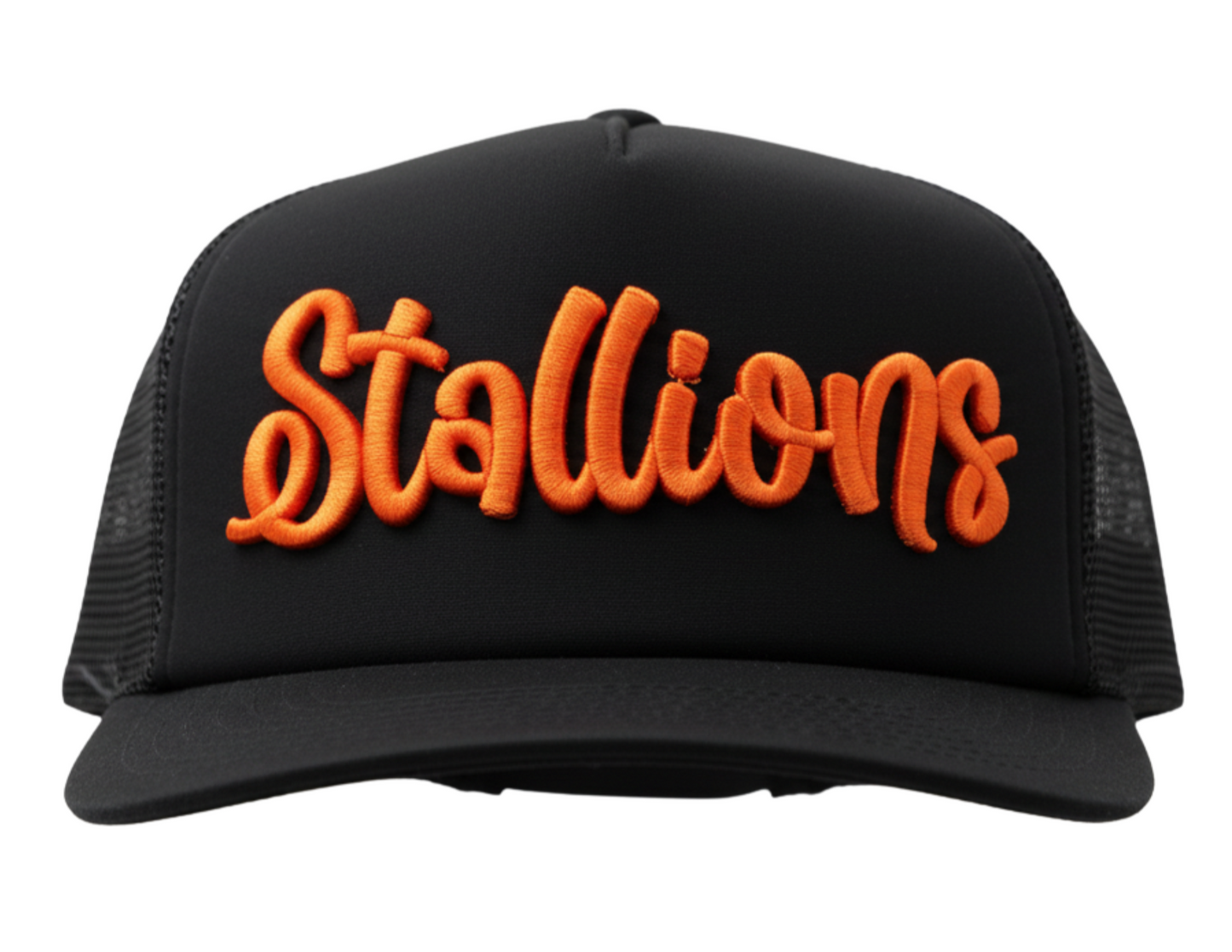 Northville Cheer & Football Hat